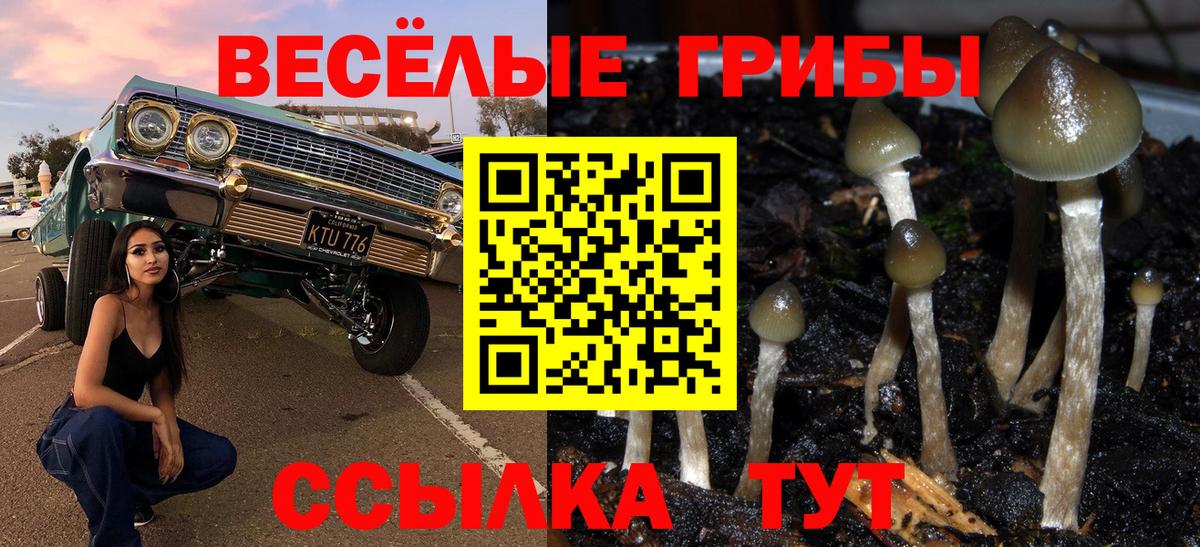 Галлюциногенные грибы мицелий  Вход с VPN  Галлюциногенные грибы MAGIC MUSHROOMS  хочу наркоту  Стрежевой 